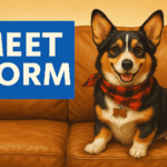 Norm the Pembroke Welsh Corgi